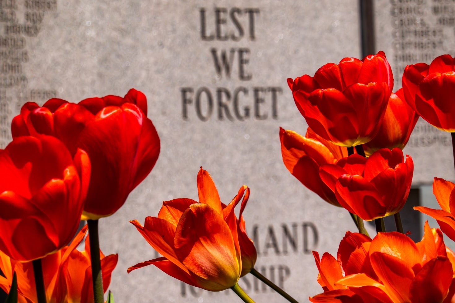 How Technology Honors Human Sacrifice and Legacy