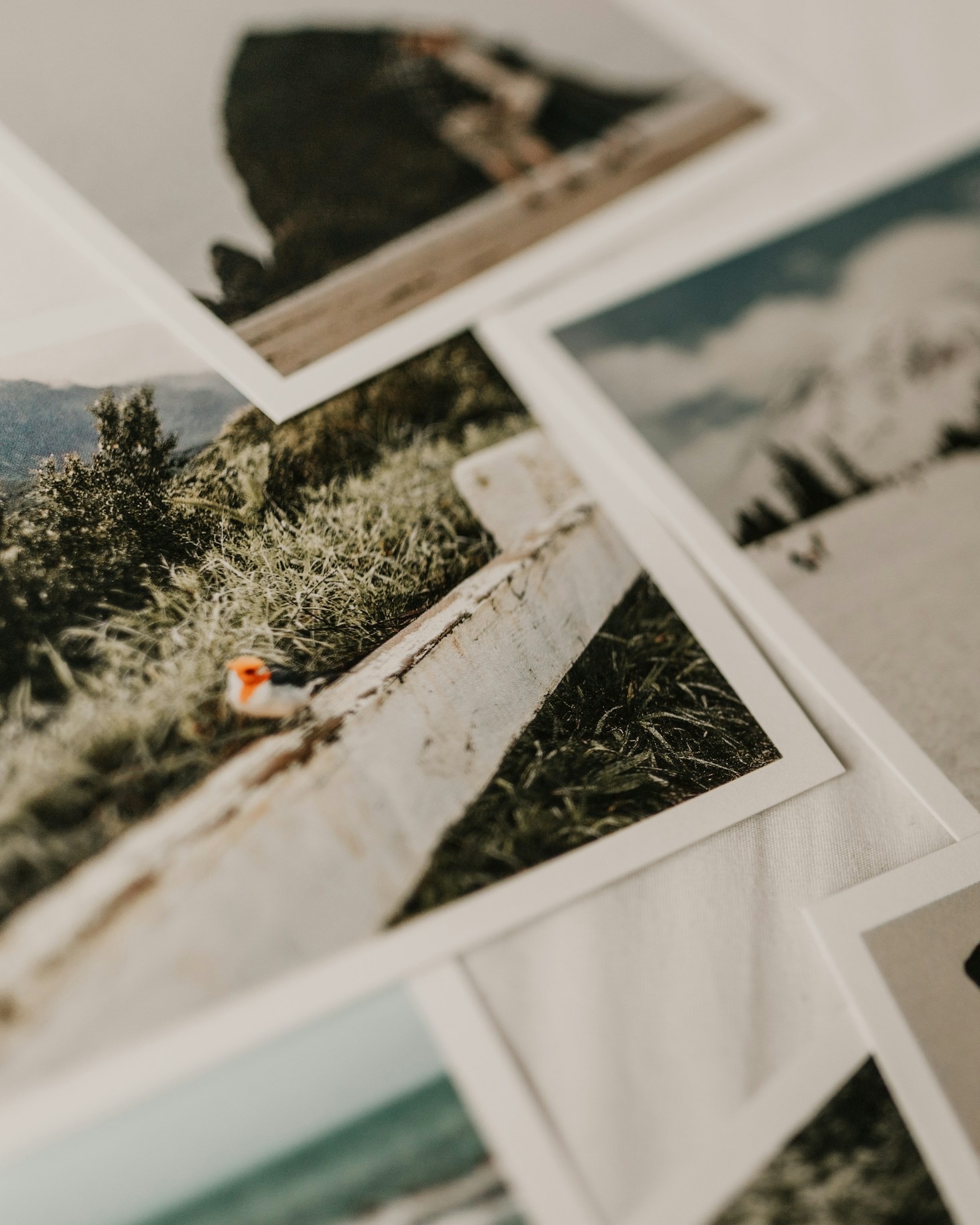 Interactive Storytelling: A New Era of Remembrance